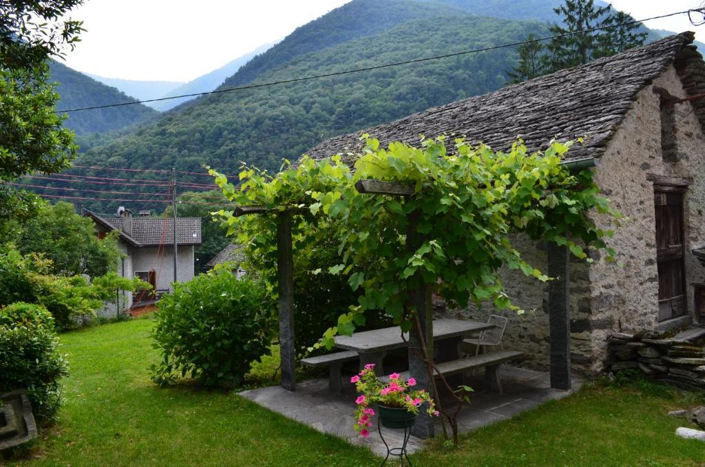 Hotel Garni Maggia Giumaglio Ngoại thất bức ảnh